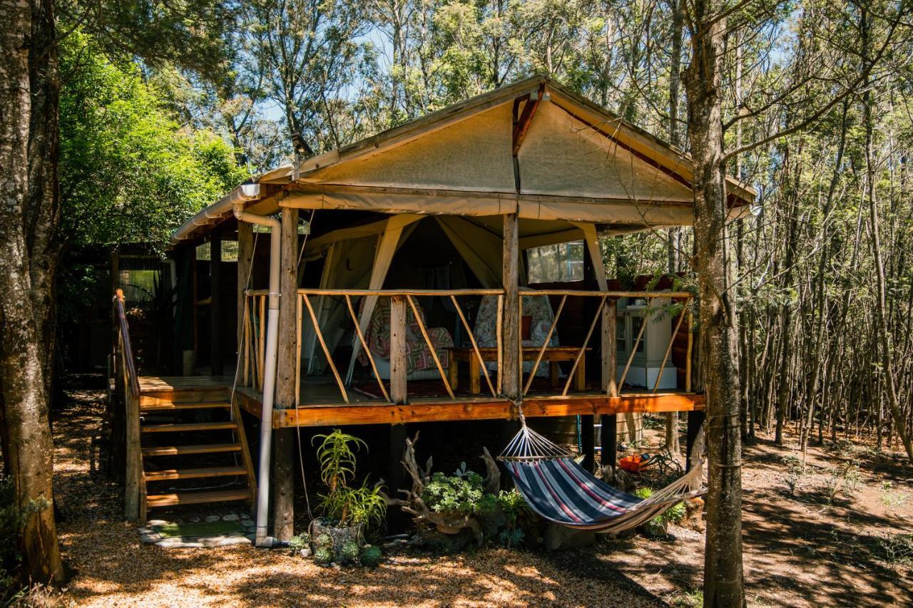 Villa Highlandsview Swellendam Esterno foto
